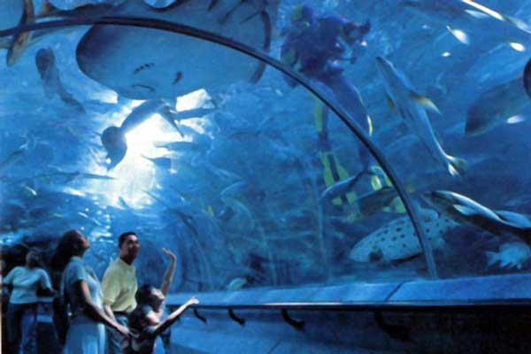 Das gr&ouml;&szlig;te tropische Ozeanium Asiens �Underwater World� 1.